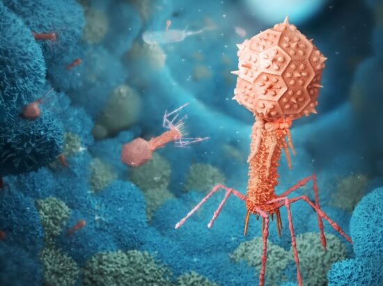 3D phage rendering